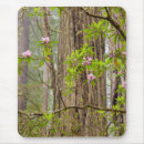Search for rhododendron electronics Tree
