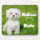 Search for maltese mouse mats Puppy