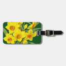 Search for pierre travel accessories Botany