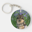 Search for spitz key rings Standing