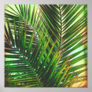 Search for shade photography Green