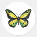 Search for butterfly flag stickers Pride