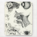 Search for human eye electronics Anatomy