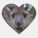 Search for australia kangaroo stickers Cute