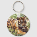 Search for sumatran key rings Tiger