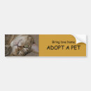 Search for adopt a pet bumper stickers Cats