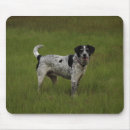 Search for pureness mouse mats Dog