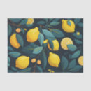 Search for citrus fruit tissue paper Pattern