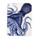 Search for octopus magnets Funky