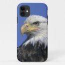 Search for haliaeetus iphone cases Usa