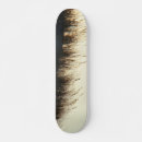 Search for dune skateboards Beach