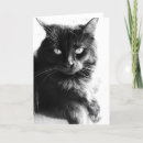 Search for black and white cat face cards Whiskers
