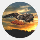Search for free bird stickers Fly