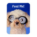 Search for hypnotised Cute