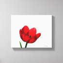Search for flower photo art Tulip