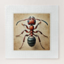 Search for fashion puzzles Female