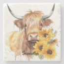Search for cow coasters Scotland