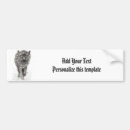Search for wolf bumper stickers Canis lupus