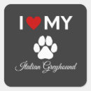 Search for greyhound dog stickers Italian
