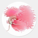 Search for betta stickers Freshwater