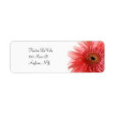 Search for gerber labels Pink