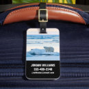 Search for polar bear luggage tags Winter