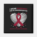 Search for mul magnets Leukaemia awareness
