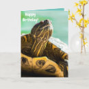 Search for turtle birthday cards Happy