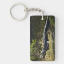 Search for alligator key rings Everglades