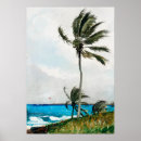 Search for palm tree posters Sea