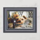 Search for yorkie lover postcards Animal