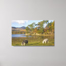 Search for lake district posters Derwentwater