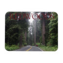 Search for redwood national park magnets Landscape