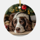Search for spaniel christmas tree decorations Pet