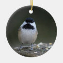 Search for chickadee christmas tree decorations Bird