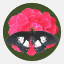 Search for swallowtail stickers Digital