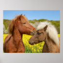 Search for funny friends posters Horse