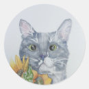 Search for bright eyes stickers Cat