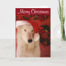 Search for white wolf christmas cards Wolves