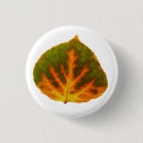 Search for fall tree badges Yellow