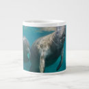 Search for the ocean state mugs Florida