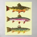 Search for fly fishing posters Trout