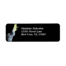 Search for cockatoo return address labels Animal