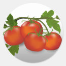 Search for kitchen dining Cooking