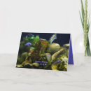 Search for aquarium fish birthday cards Aquariums