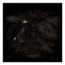 Search for great blue heron posters Wildlife