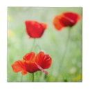 Search for red poppy tiles Wildflower