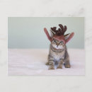 Search for christmas kitten postcards Baby