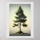 Search for pine trees posters Minimalist