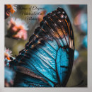 Search for blue winged posters Wildlife photography